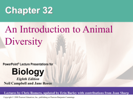 33 Invertebrates Ap Biology Guide Answers