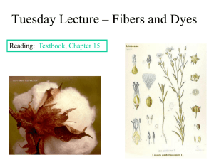 Thursday Lecture – Fibers, Dyes and Tannins