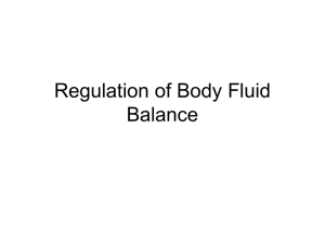 Regulation of Body Fluid Balance