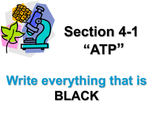4-1 ATP