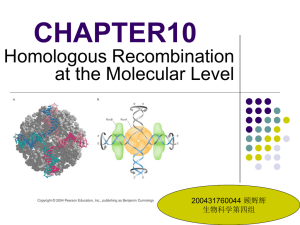 Models for homologous recombination