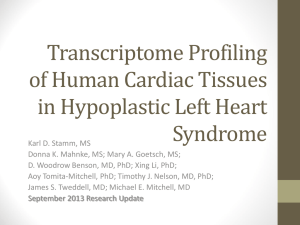 Transcriptome Profiling in Human Congenital Heart Disease