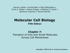 Molecular Cell Biology Fifth Edition Chapter 7