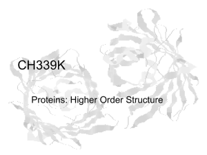 Lecture Slides for Protein Structure