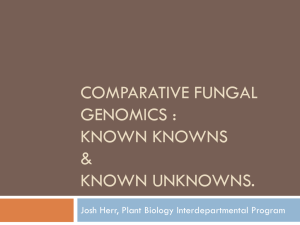 Comparative Genomics of Plant Genes Responding to Fungi