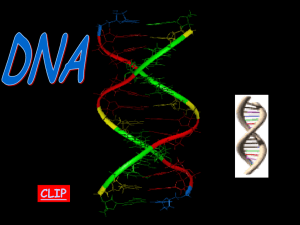 DNA