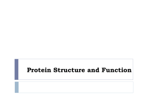 3-17. Protein Splicing