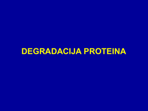 degradacija proteina