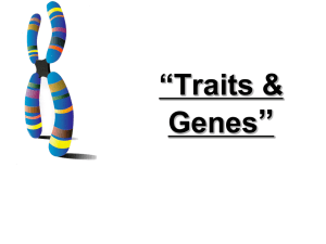 6.4 Traits, Genes, and Alleles