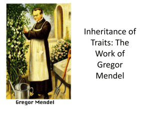 Inheritance of Traits: The Work of Gregor Mendel