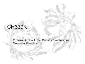 Lecture Slides for Amino Acids, Proteins, and