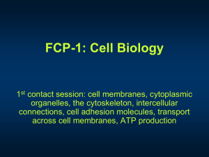 Cell Organisation