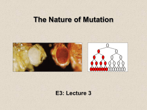 E3_Mutation_2011 - MicrobialEvolution.org