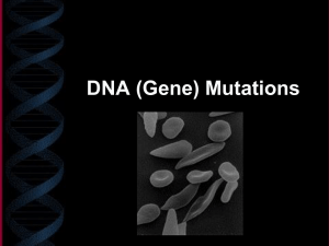 DNA Mutations ppt
