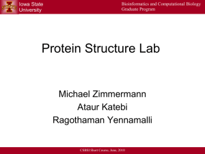 CSBSI_2010_ProteinStructureLab