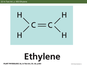 Ethylene Slides