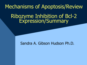 Mechanisms of Apoptosis/Review Anti-bcl