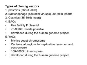 Vectors, viral and others