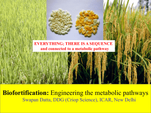 Biofortification by Dr Swapan Kumar Datta, DDG (Crop