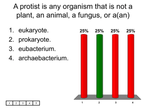 A protist is any organism that is not a plant, an animal, a fungus, or a