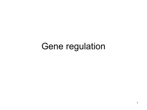 Gene regulation_1130(final)