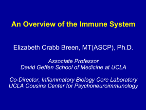 January 6, 2014 - Immunology Overview