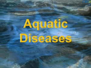 Aquatic Diseases - Montgomery County Schools