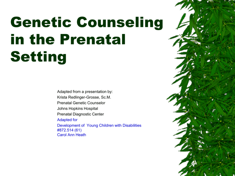 genetic-counseling-in-the-prenatal-settting