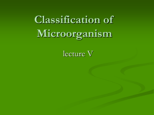 Lecture 5 Classification (Ch.10,11)