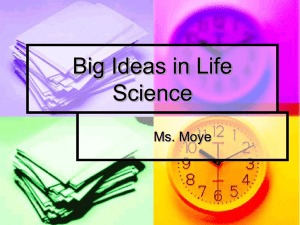 Bid Ideas in Life Science