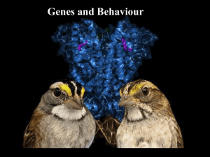 Genes and Behaviour