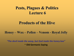 Lecture 6 - Products of the Hive