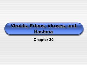 Viroids, Prions, Viruses, and Bacteria