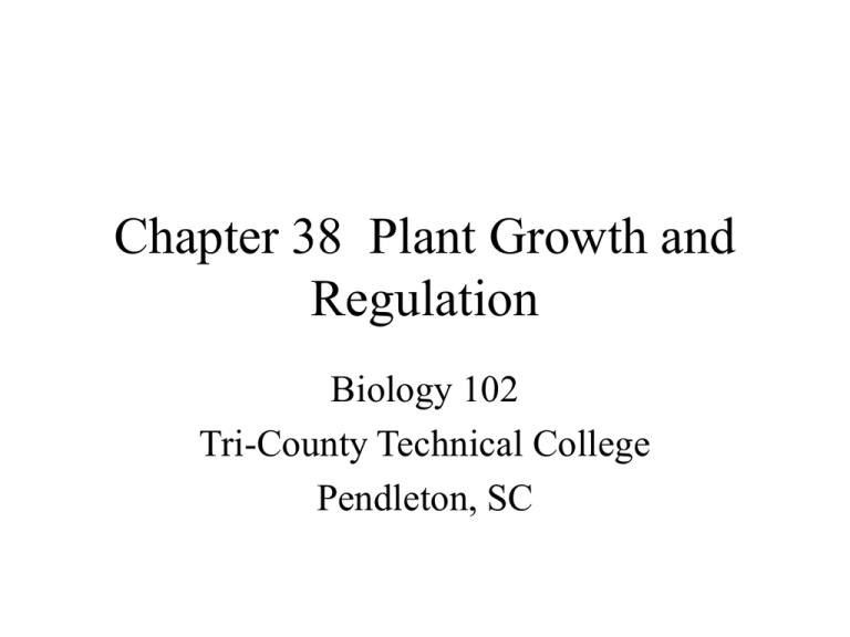 C38 Tri County Technical College