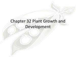 Chapter 32 Plant Growth and Development