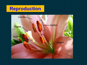 Reproduction_plant_HKDSE