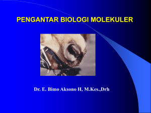 Biologi Molekuler Veteriner - UNAIR | E