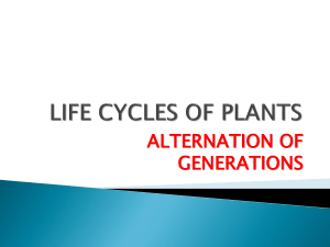 LIFE CYCLES OF PLANTS - Teaching Biology Project