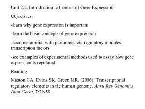 Gene_expression
