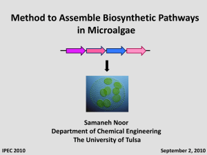 Biology of Algae - IPEC - The University of Tulsa