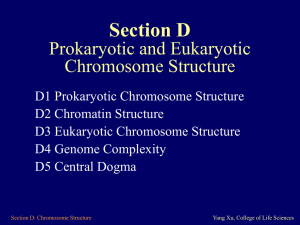 D1 Prokaryotic Chromosome Structure