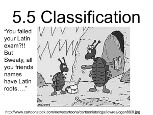 Classification 5.5