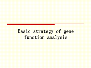 analysis of gene function