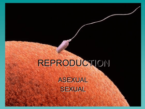sexual reproduction - KCPE-KCSE