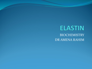 ELASTIN - Rihs.com.pk