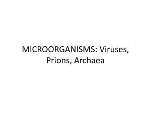 Archaea and Prions Feb 28