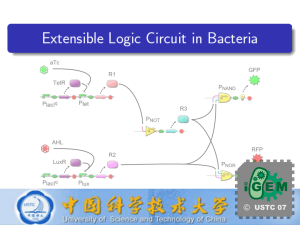 USTC iGEM 2007 Extensible Logic Circuit in Bacteria