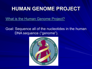 SEQUENCING AND THE HUMAN GENOME PROJECT