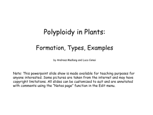Polyploidy_Presentation