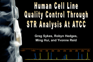 Human Cell Line Quality Control Through STR Analysis